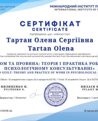 Програма підвищення кваліфікації «Сором та провина: теорія і практика роботи в психологічному консультуванні» (Міжнародний інститут психології) – 12 годин.